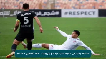 مفاجأة بحبح في مباراة سيد عيد مع بتروجيت.. فما تفاصيل الحدث؟